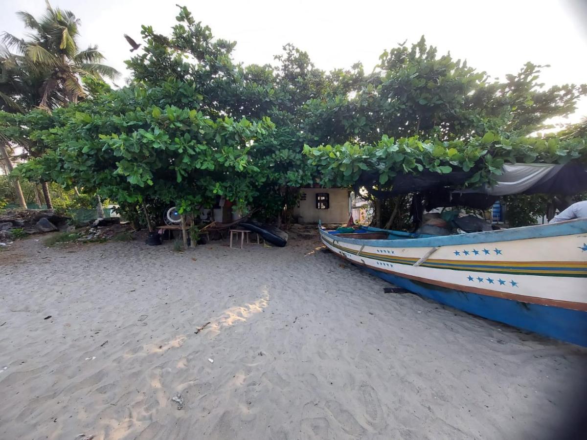 Beachcampers Only For Foreign Traveler'S Alappuzha Esterno foto